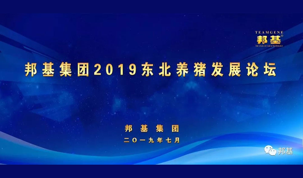 AG集团集团2019东北养猪发展论坛盛大举行